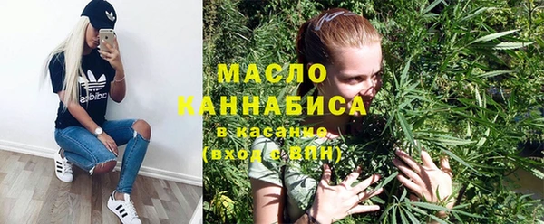 индика Армянск