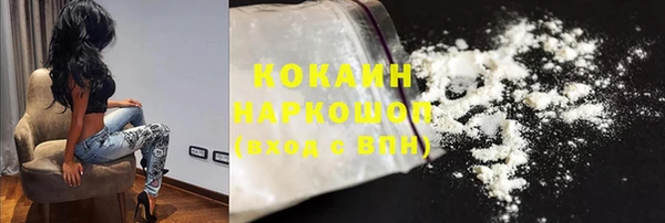 индика Армянск