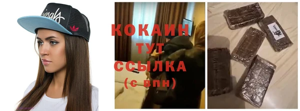 индика Армянск