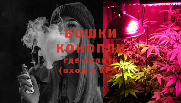 ПСИЛОЦИБИНОВЫЕ ГРИБЫ Аркадак