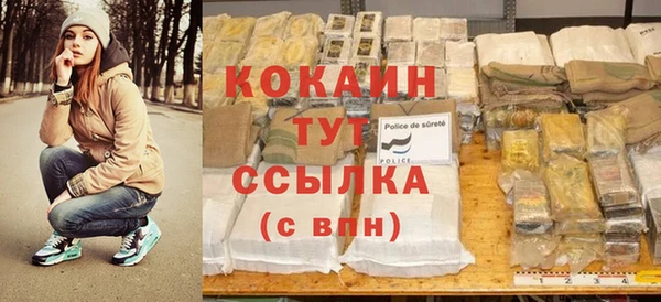 индика Армянск