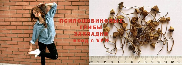 МДПВ Арсеньев