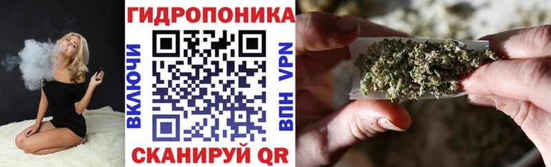 Конопля план  Купить  Судогда 